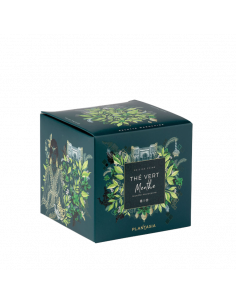 BTE METAL THE VERT MENTHE BIO