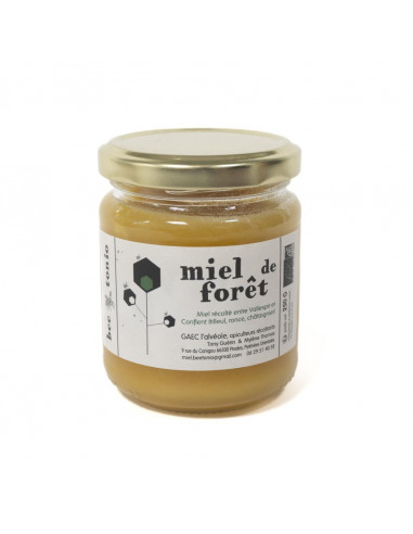 MIEL DE FORET