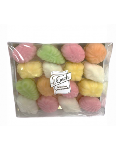 BTE FONDANT 160G