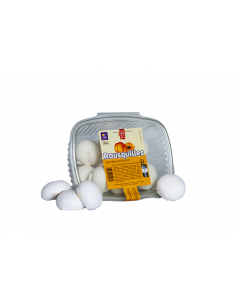 ROUSQUILLES FOURREES ABRICOT 180G